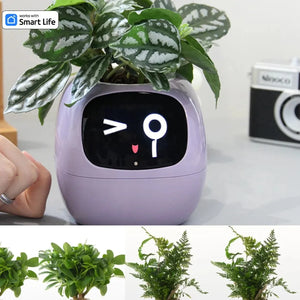 Smart AI Powered Plant & Flower Pot