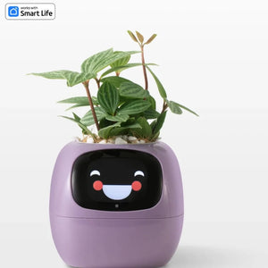 Smart AI Powered Plant & Flower Pot