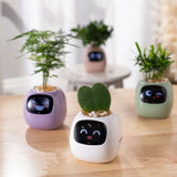 Smart AI Powered Plant & Flower Pot