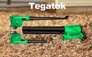 Cordless Leaf Blower & Vacuum with Rechargeable Battery